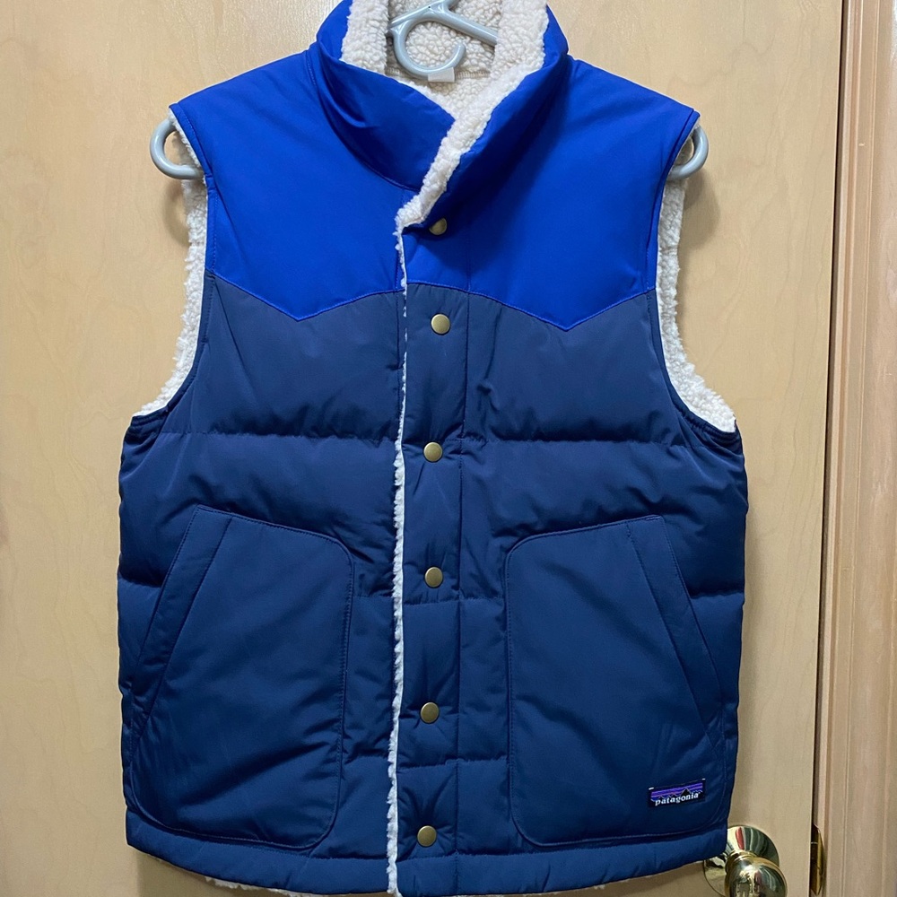 Patagonia men’s reversible vest